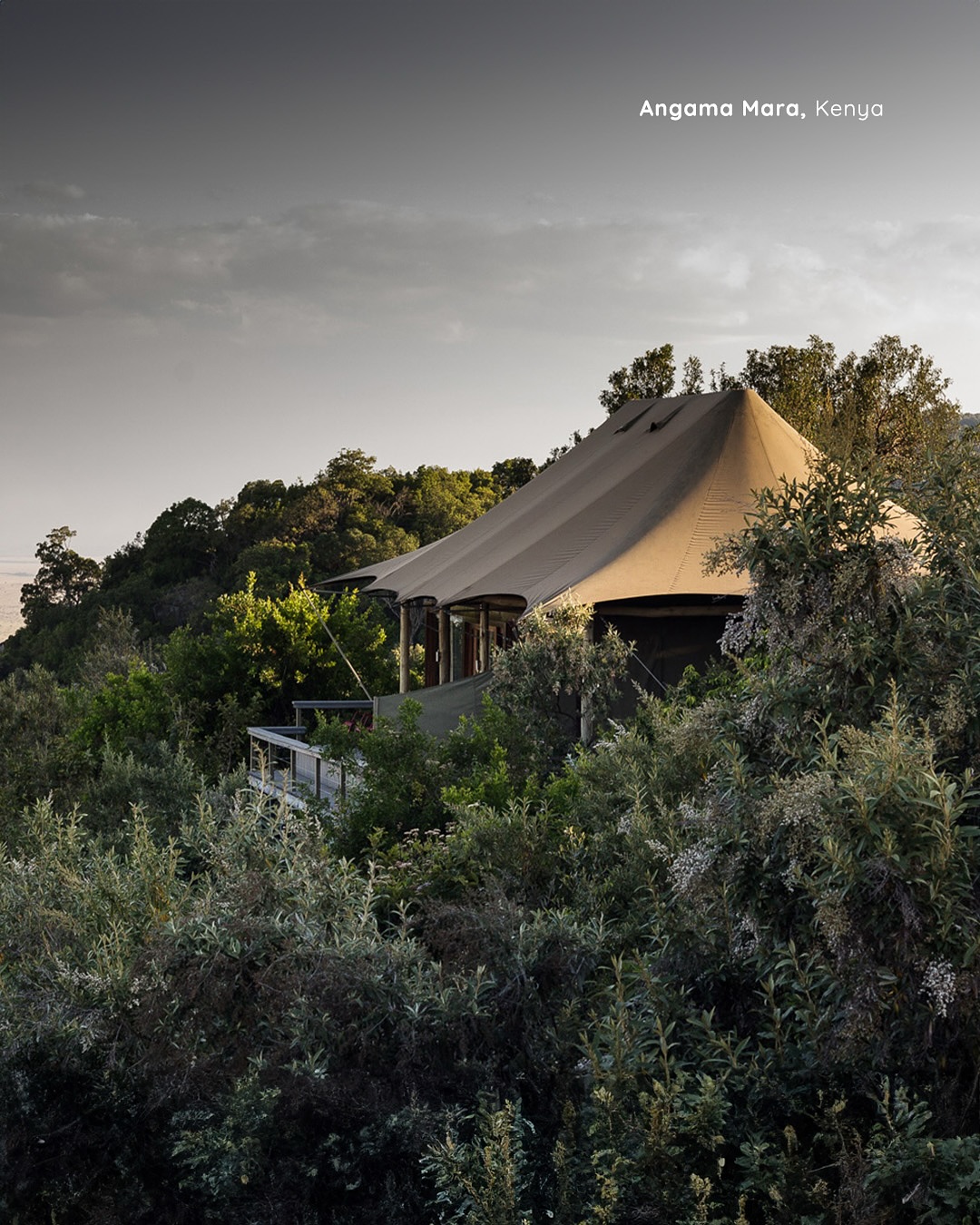 For travelers who seek privacy without compromising on comfort, these retreats embody the true meaning of seclusion and sophistication.
Angama Mara (@angamasafari) Suspended high above the Maasai Mara, this intimate lodge offers panoramic views and serene solitude, where the only interruptions are the rhythms of nature.
Ceylon Tea Trails (@ceylonteatrails) Nestled in Sri Lanka’s emerald hills, this collection of colonial bungalows invites guests into a world of calm, with misty mornings and timeless seclusion.
Silky Oaks Lodge (@silkyoakslodge) A hidden sanctuary in Queensland’s Daintree Rainforest, where luxury villas are enveloped by lush greenery, delivering quiet moments of wellness and retreat.
Six Senses Zighy Bay (@sixsenseszighybay) Set between dramatic mountains and a private bay in Oman, this barefoot escape offers ultimate discretion, where each villa is a haven of peace and indulgence.
Each destination goes beyond offering a stay; they are sanctuaries of privacy, design, and refined luxury, crafted for discerning travelers who seek meaningful escapes and unforgettable moments.
#LuxuryTravelAgency
#LeBoulevardier
#ExploreTheWorld