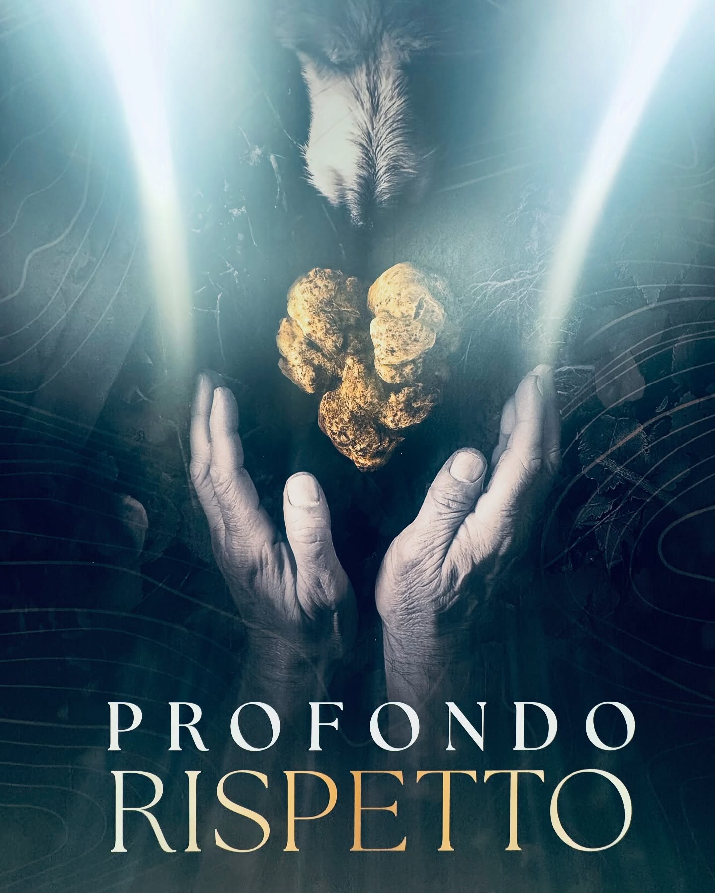 Profondo Rispetto !!!! Alba numero uno!!! #trufflefair#albafair#tartufibianchi#tartufobianco#