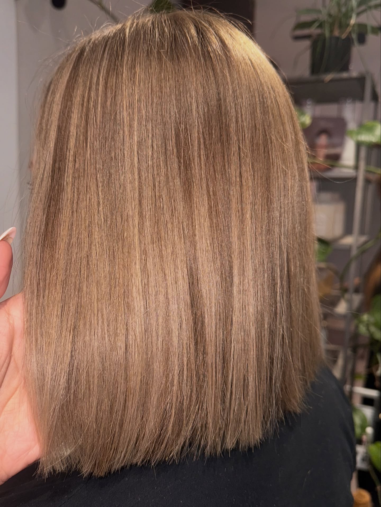 Glow up ✨ einmal komplett Veränderung bitte 🤍
#hairtransformation #vorhernachhertransformation #longhair #cut #balayage #salonlacasa #rosche