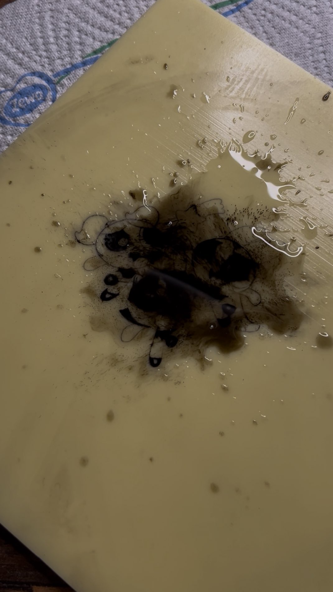 Sonntag. Maschine an. Keine Ausrede.
Ich will, dass alles sitzt. Jede Linie, jeder Stich, jeder Handgriff.
Weil das, was ich mache, direkt unter die Haut geht – wortwörtlich. 💉
Üben ist kein Muss, es ist mein Anspruch.
Ich teste, probiere, perfektioniere – damit du dich später zu 100 % auf mich verlassen kannst.
Heute war’s ein Powerpuff Girls Tattoo,
morgen wieder ein Schritt näher an dem Level, das ich mir selbst verspreche. 🖤
Seid ehrlich – wer von euch würde sonntags lieber chillen… und wer würd auch lieber an seinen Zielen arbeiten? 😅👇
#shaede #biancagünther #tattooartist #finelinetattoo #tattoopotsdam #powerpuffgirls #übungmachtdenmeister #artistlife #smp #pmupotsdam #leidenschaft #präzision #übungssonntag