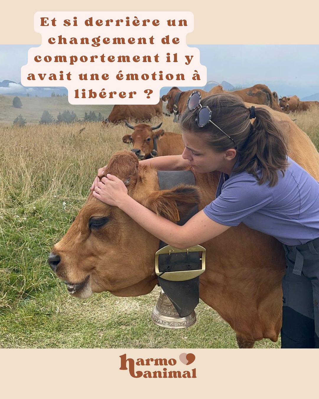 Derrière chaque comportement, il y a une émotion 🐾
Peur, tristesse, frustration, joie retenue… les animaux, comme nous, ressentent profondément les émotions.
En kinésiologie, j’écoute ce que le corps exprime pour conscientiser et accompagner ton compagnon vers plus d’apaisement ✨
Et si je t’aidais à écouter ton animal autrement ?
#kinesiologie #kinesiologieanimale #emotionanimale #bienetreanimal #comportementanimal #harmoanimal #merignac #gironde #bordeaux