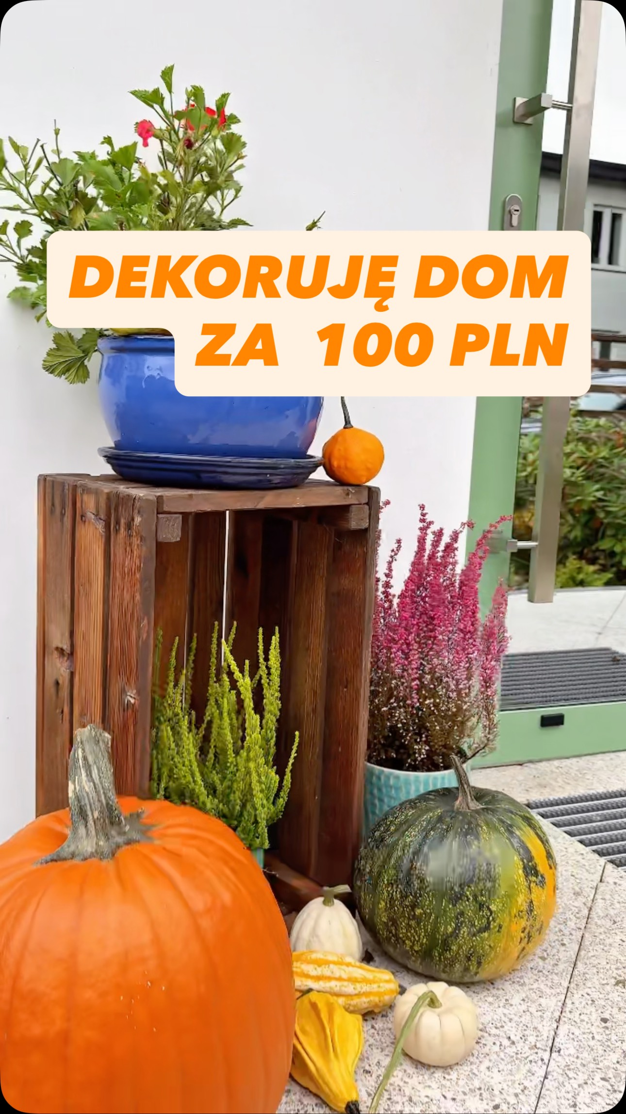 Jak udekorować wejście domu za 100 zł?
Recepta jest bardzo prosta - kilka dyń, chryzantemy i wrzosy.
Do tego stara skrzynka, kolorowe osłonki i rośliny, które przez cały rok zdobią ogród.
Dodam też jakiś lampion ale tu już pod koniec października.
Dom jest naszą oazą - miejscem, które powinno być bezpieczne i radosne. To tutaj mamy się czuć w 100% sobą. Bez ściemy i udawania.
Dlatego dbajmy o to, by wyglądał tak jak chcemy- wcale nie musi być modny ani utrzymany w trendach. Jedynymi osobami, na których ma robić wrażenie jesteśmy my sami.
#Dynia #jesiennedekoracje #wrzosy #wejsciedodomu #ganek #przedhalloween #jesieńwogrodzie #jesiennyogród