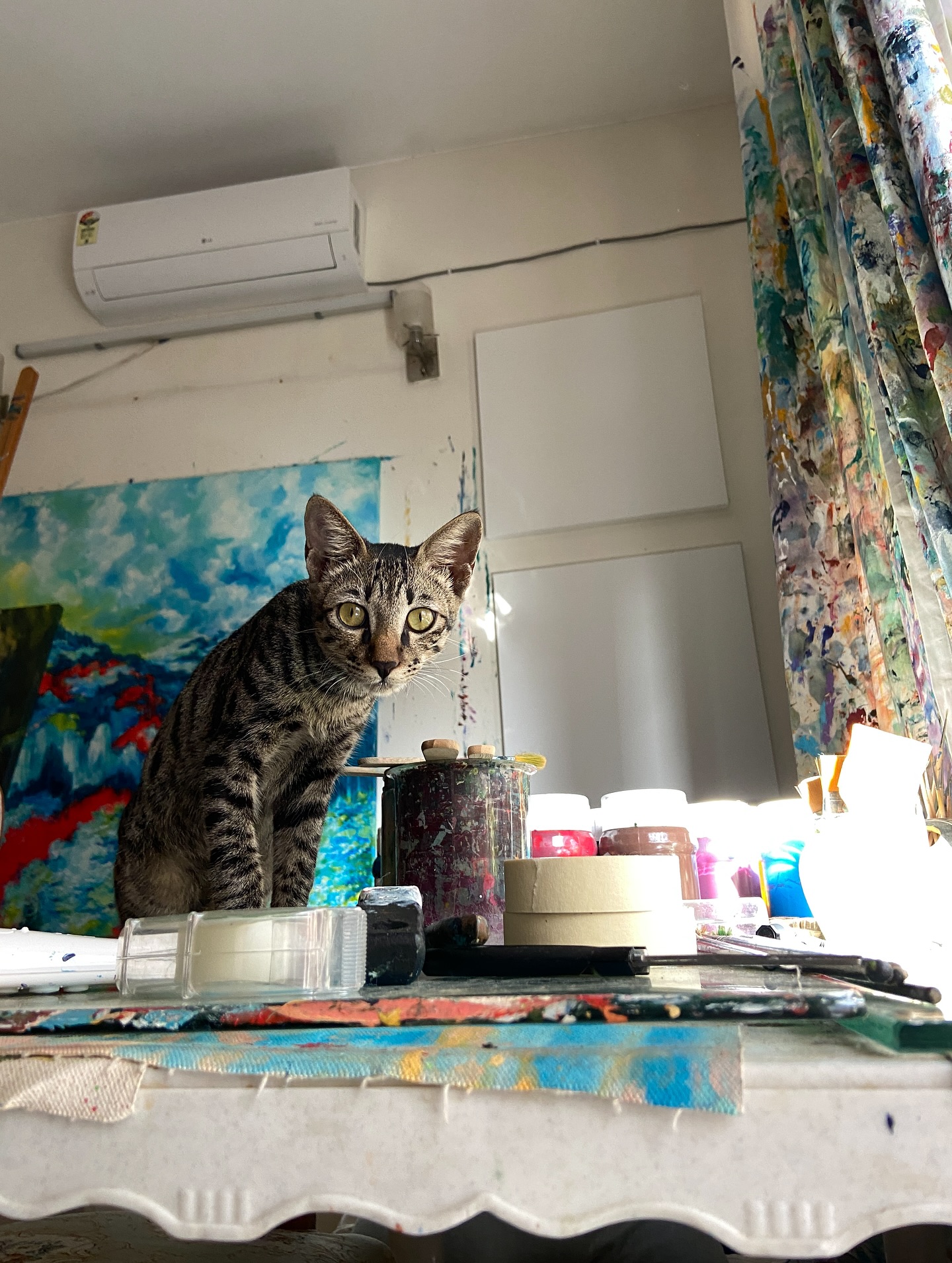 Studio visitor alert! This four-legged art lover is on the hunt for paint, brushes and sunny spots to nap in.
#artstudio #artiststudio #artistlife #studiocompanion #artstudiolife #artassistant #artstudiopets