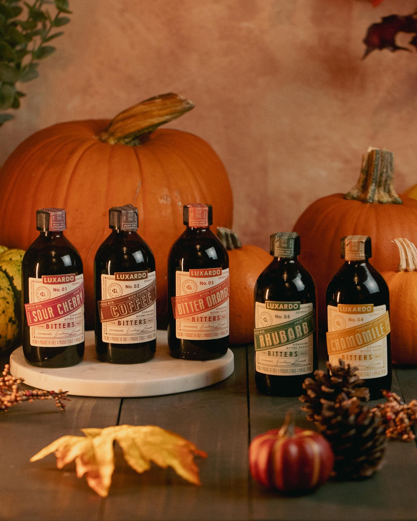 Falling for flavor. 🍂🎃 This season, let Luxardo Bitters bring a bold, balanced kick to your autumn cocktails. From cozy spritzes to spiced twists, it’s the perfect way to toast crisp nights and golden leaves. ✨🍁