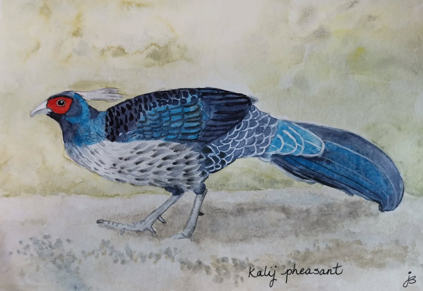 Kalij Pheasant
Day 10 #Birdtober2025 #birdtober
This year I'm using watercolor, neocolors II, pencil crayons, charcoal, and gelly roll pens. Whatever floats my 🐦
I'm working on Clairefontaine watercolor paper 5.8x8.3" (A5) cold press paper.
@aholmesartstudio #ilovebirds #bird #birdartist #birdart #birddrawing #birdpainting #birdillustration #birdnerd #birbs #painting #drawing #illustration #birdchallenge #watercolorart #watercolorpainting #pencilsketch #fabercastell #clairefontainepaper