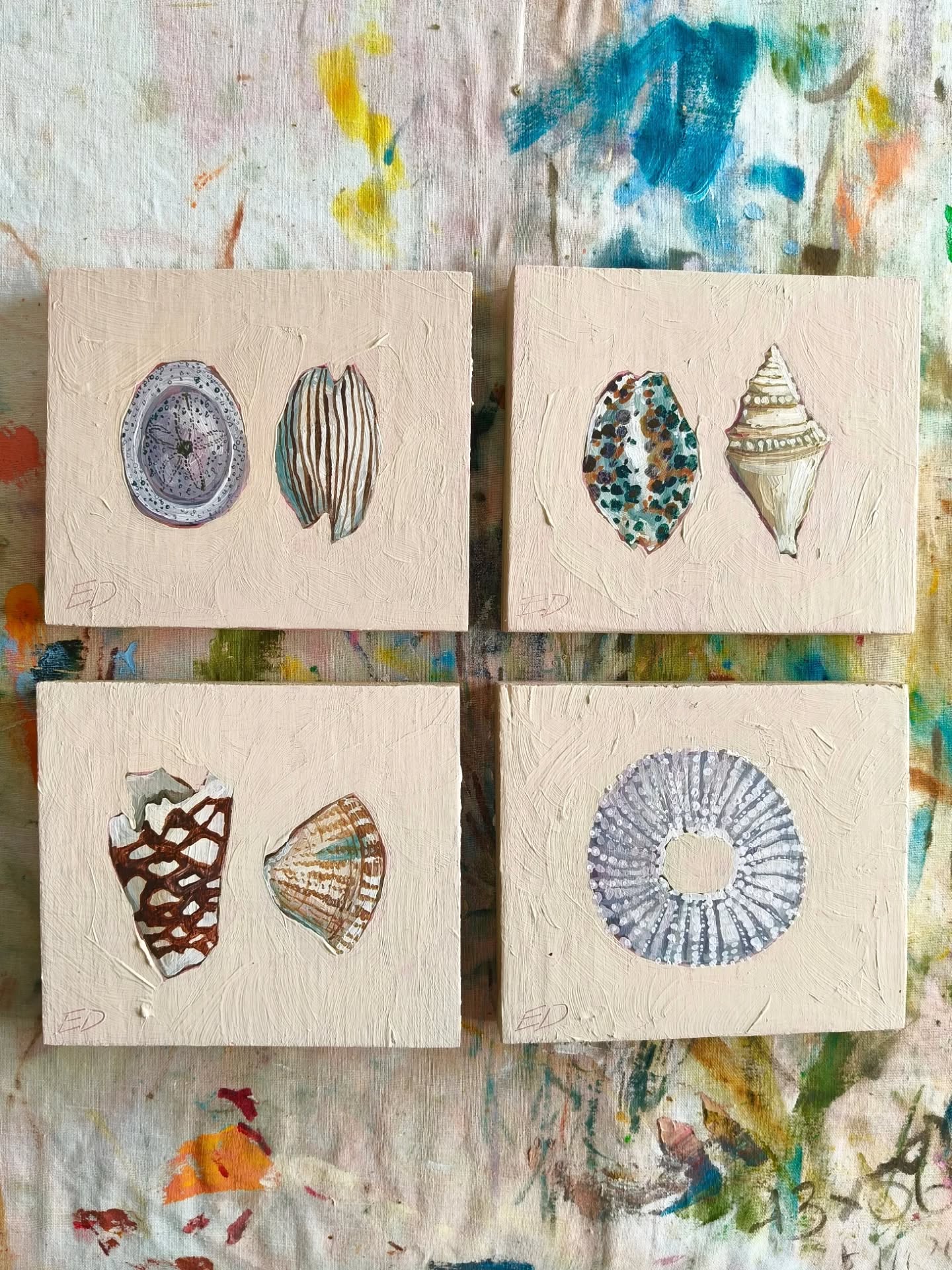 🐚 Shells shells shells 🐚
In case you have somehow missed all of my shell content - I have found a new love of painting shells this year. Growing up in the 90s, we saw a lot of shells done badly (a bit too kitch??), so I never thought to paint them.
Now that I have two kids - we spend a lot of time collecting shells or just arranging them on the beaches & bays where we spend our spare time. As I reminisced on my love of shells as a kid, I started to paint my little collection.
Then an old neighbour of mine lent me her gorgeous collection of some really special shells - and now I'm hooked.
These little original paintings and large posters will be coming with me to @thegreatartistmarket this Saturday in Brisbane at @felonsbrewingco.
8-3pm! Free entry! It's a fantastic market - please come and say hi 😍
#shells #painting #market #brisbaneartist #brisbanemarkets #whatsonbrisbane #australianartist #australianart #artprocess #shellcollection
