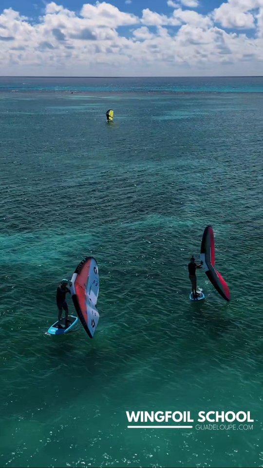 La saison 2025-2026 débute et l'école est ouverte pour les cours et la location de materiel de wingfoil !
Un vent propre, un lagon turquoise, une radio à l’oreille… et le déclic ✨
Notre saison 2026 commence ici : apprendre, progresser, voler.
Cours privés, coachings radio, locations premium — on s’occupe de tout
L'occasion pour nous de sortie la vidéo 2025 de l'école, disponible en 4K également sur YouTube ;)
Prêt à décoller ? Réserve via le lien en bio 🚀
#WingfoilGuadeloupe #Wingfoil #Guadeloupe #SaintFrancois #LaCoulee #LearnToWingfoil #Foil #Waterman #CaribbeanVibes #wingfoil #duotone #gwada #fwi #watersports