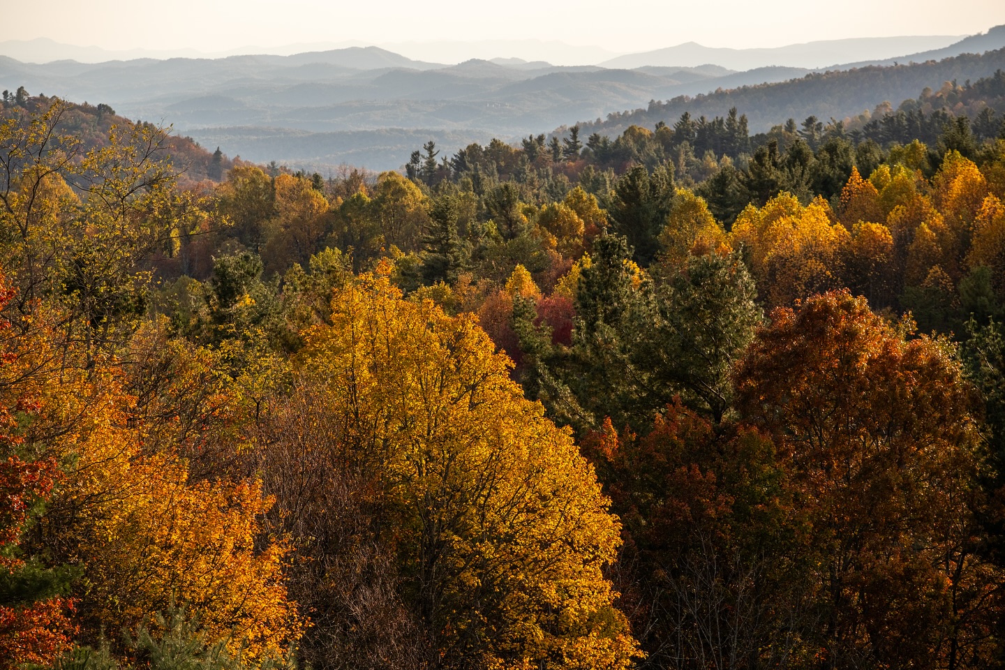 Autumn tones along the @blueridgenps in western North Carolina.
#brp #blueridge #blueridgeparkway #parkway #nps #nationalpatkgeek #outdoors #autumn #fallcolors #mountains #blueridgemountains #landscape #landscapephotography #appalachianmountains #fujifilmxtm5