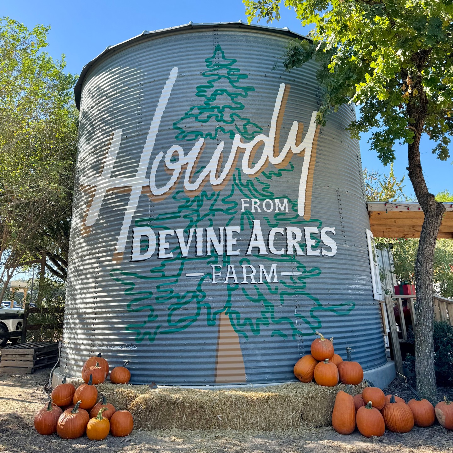 🎟️🚨 An amazing 3 day weekend on the farm kicks off tomorrow! A very limited number of tickets are remaining for Saturday, and Sunday/Monday tickets are selling quickly. If you plan to come out this weekend, please make sure you get your tickets asap. Once tickets sell out online, that's it! We will not have tickets available at the gate if we sell out online. Our priority is to provide a safe and FUN experience for guests! devineacresfarm.com
📆 Special Hours- we will be open 3 days this weekend!
Saturday 10-8
Sunday 10-6
Monday (Columbus Day) 10-4
It's going to be a wonderful weekend full of endless fall fun! Cannot wait to see you all! 💛