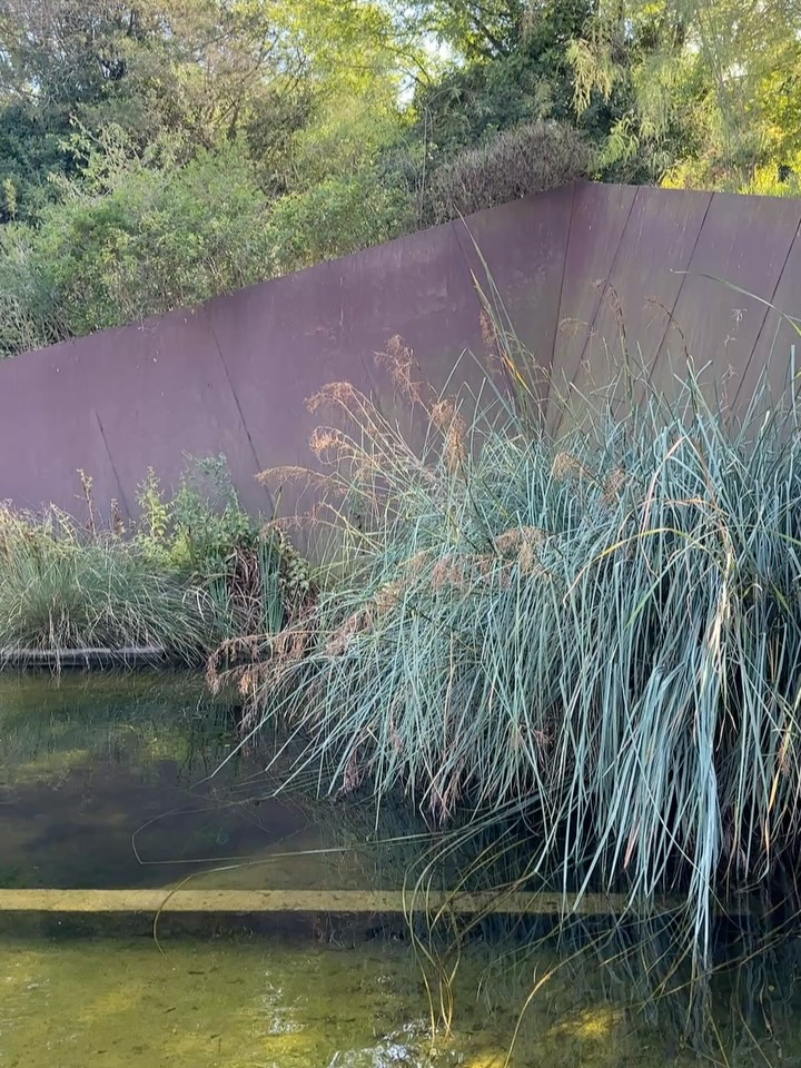 Great weekend spent in Barcelona!
It’s been years since we last visited, and although we did a few of the usual touristy things, the highlight this time was wandering through the Botanical Gardens in Montjuïc. A series of terraces overlooking the city, with striking modernist architecture, corten steel supporting walls, geometric winding concrete paths and sweeping views. Built on what was once disused land, the paths and terraces make the most of the slope, and vistas, framing the Mediterranean planting beautifully. A diverse collection of mostly woody plants (trees and shrubs) covering the Mediterranean climatic zones around the world. The sense of space, light, and structure made it an unforgettable contrast to the dense built environment of the city below.
⸻
ABOUT: Joe Perkins Design is a multi-award-winning landscape design consultancy, creating innovative outdoor spaces that celebrate the environment, wildlife, and biodiversity. Working across the UK and internationally, we partner with clients who share our passion for sustainable and visionary design. Discover more about our work at: www.joeperkinsdesign.com