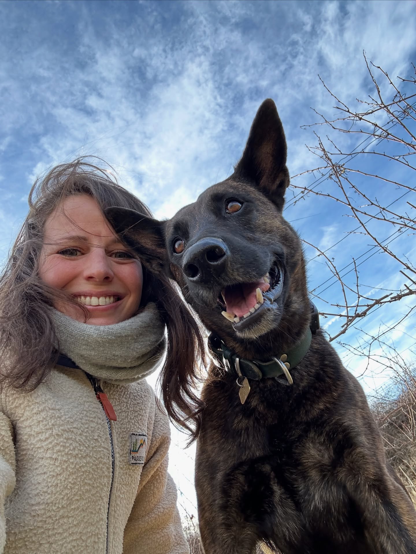 Happy world dog day 💫🐾😍 Für alle Vierbeiner dieser Welt, weil jeder den besten und süßesten und tollsten Hund daheim hat 😛 Und an diesee Stelle ein Extrashoutout an Lupa ❤️🩹 Ich vermiss dich jeden Tag! #worlddogday #dollythedutchie #hollandsherder