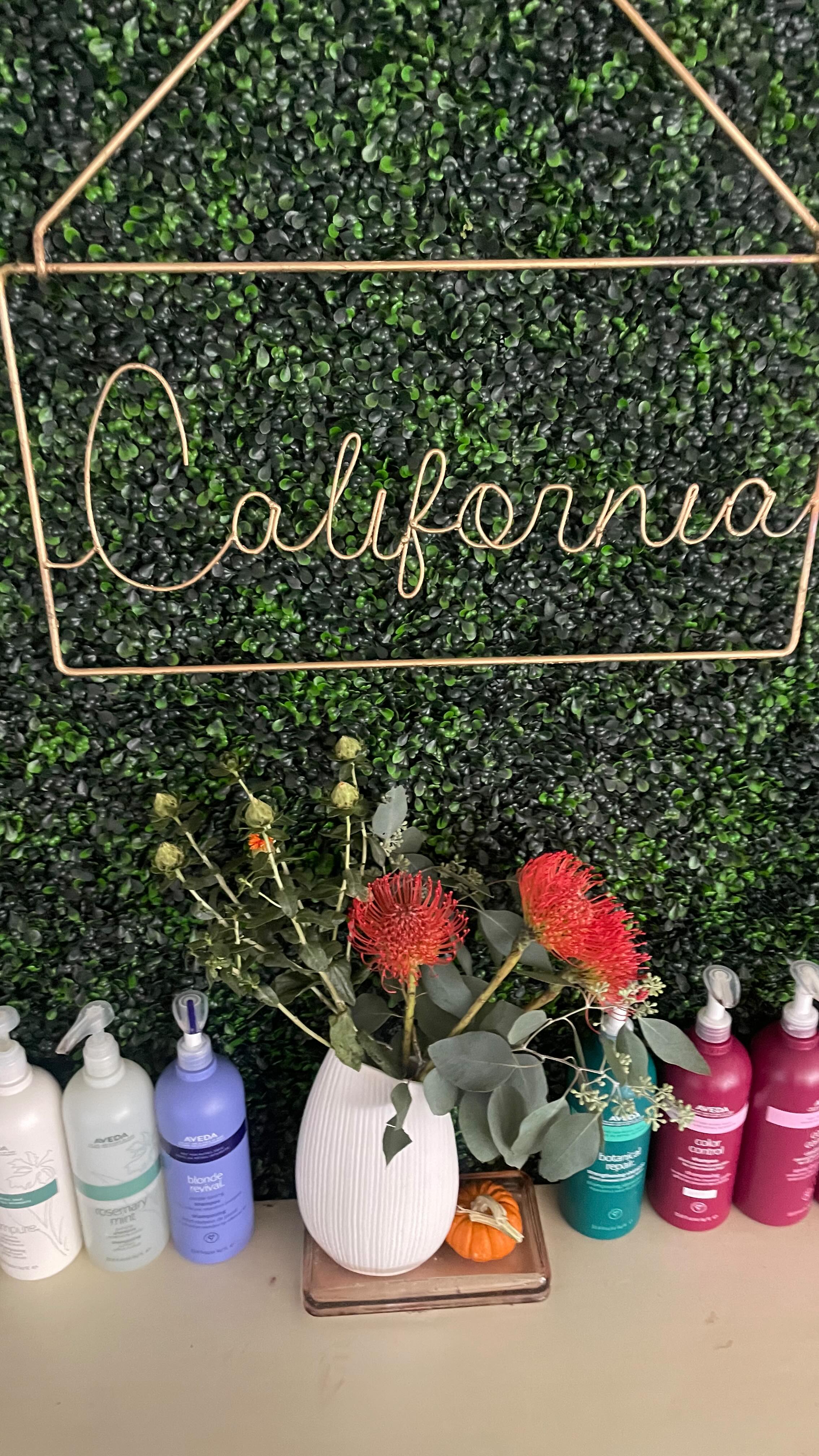 Another beautiful day in Carmel Valley! ☀️
Haven’t visited our beautiful salon? We want to meet you and consultations are always free!
#thesalcal #carmelvalley #avedasalon #originalmineralsalon #carmelbythesea