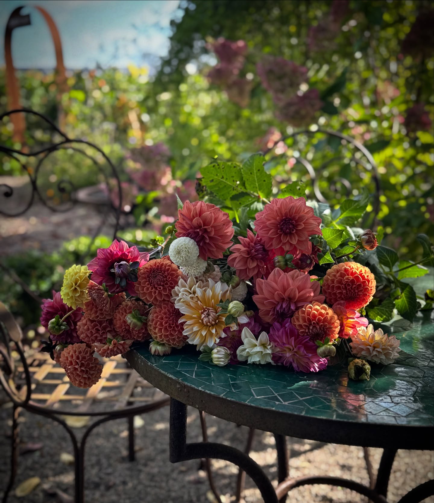 ~Blommor till en helgbukett~
Påbörjat uppgrävningen av dahliorna. Tar de sort efter sort när de slutat leverera. Ingen brådska, knölarna är skyddade i jorden.
Njuter verkligen så länge det går🌸🌸🌸
Fin lördag till er!
#dahliaseason #dahlia #blomsterodling #blomsterodlare #snittblommor #höst #veckansvackraste #helgbukett