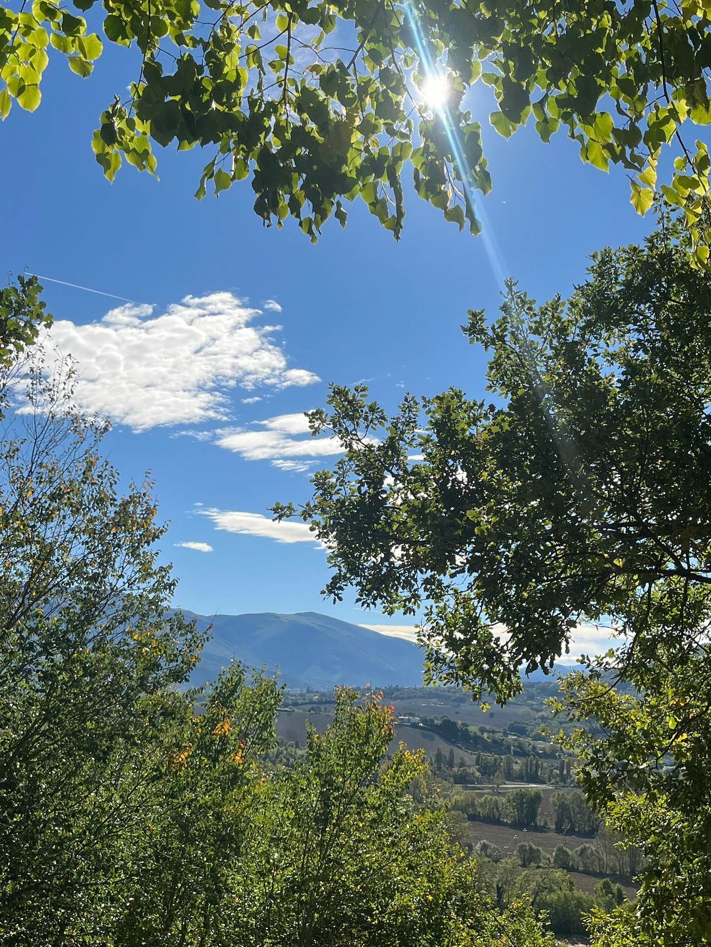 Taking a Mindful Mile can work wonders for your mental health — whether you’re walking or running, solo or catching up with friends.
Moving your body outdoors boosts your mood, clears your mind, and gives you a moment to reset. 🌿👟
Step outside, breathe deep, and take a few moments for yourself.
#MentalHealthDay #MindfulMile #outsideisfree
Team: @jon_warren_tri @sunshine_nutrition_ @aspiresportpsych_pt @kp_trail_adventures
Partners: @youngagain_cycles @otesportsgb @nrgchains @rideparcours @zone3official @bikeboxalan @completephysio @nopinz @thealtitutecentre @evolve.aero