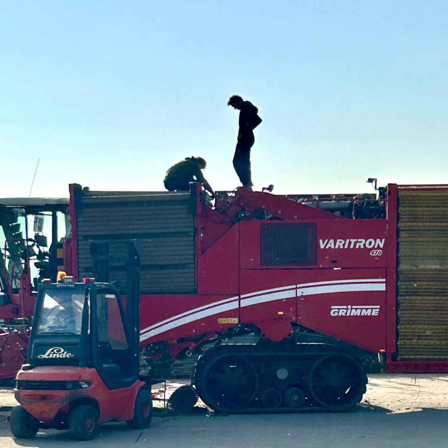 Bedank een boer 🫶
Elke dag gaan we naar de winkel en vullen we ons mandje met boodschappen: groenten, fruit, brood, vlees en zuivel 🥔🥛We genieten van ons ontbijt, lunch en avondeten – vaak zonder erbij stil te staan waar dat voedsel vandaan komt.
Het is allang niet meer vanzelfsprekend dat de schappen in de supermarkt altijd vol liggen; de laatste jaren hebben we daar soms voorbeelden van gezien.
Voedselzekerheid is niet meer zo zeker. Klimaatverandering, handelsbelemmeringen, ziekten, plagen en conflicten zetten de productie onder druk.
Vandaag, 12 oktober, staan we stil bij de onvanzelfsprekendheid van voedsel – en bij het feit dat boeren en tuinders zich elke dag inzetten om te zorgen voor gezond en veilig eten voor iedereen 🌍
We doen dit niet om een compliment te vragen, maar om het besef 👉 een bord eten groeit niet vanzelf 🍽️
#akkerbouw #weetwatjeeet #thankafarmer