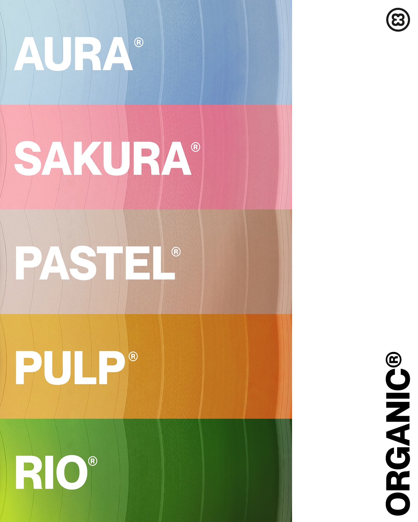 Chaque couleur a une voix.
Chaque nuance a une histoire.
Ensemble, elles façonnent le monde de Vinylacy 🌈 vibrant, unique et organique.
#Vinylacy #Organic #PressedByVinylacy