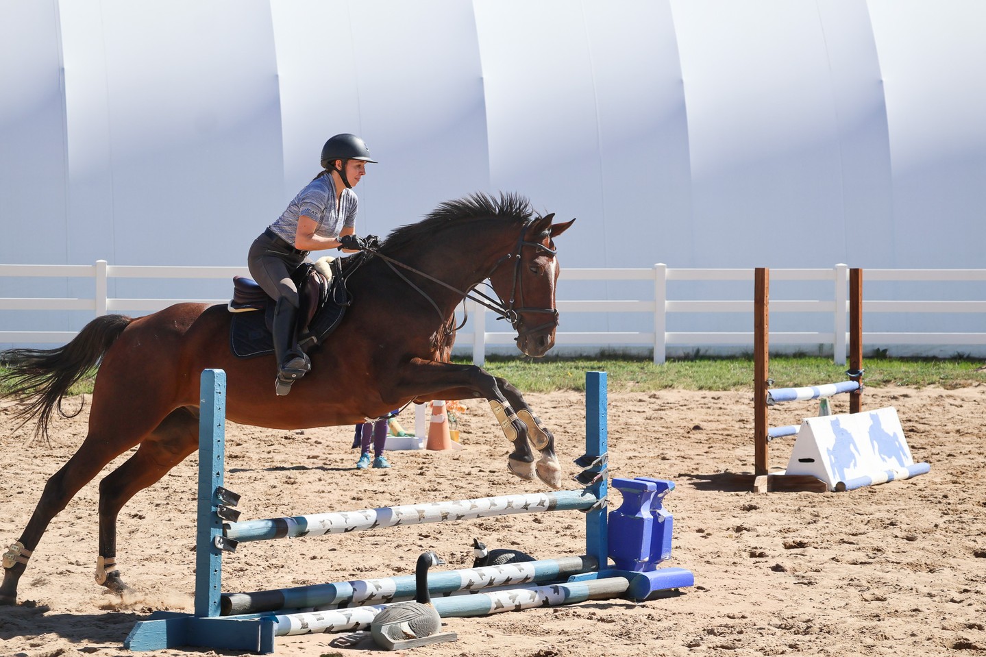This is what we refer to as a 'launcher' 🚀 #horses #horsegirl #Colorado #LongmontColorado #hunterjumper @laurenrolkes