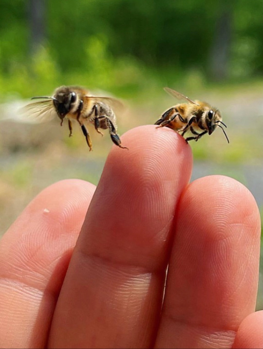 Just happy being still. Holding the love story today.
#bee #bestill #lovestory #southcoastcelebrant #beetogethercelebrant
