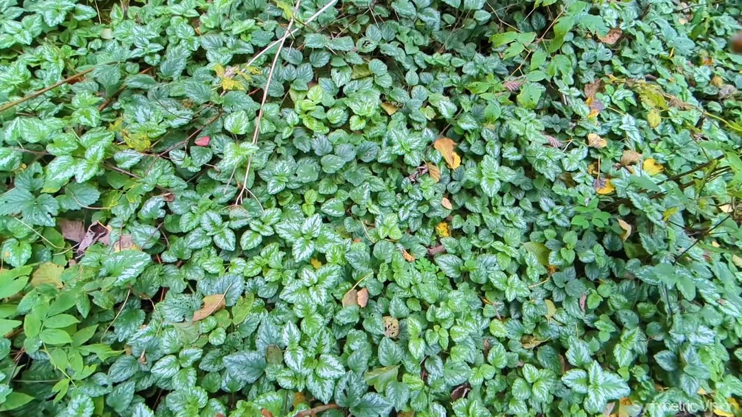 took too much... 🤯