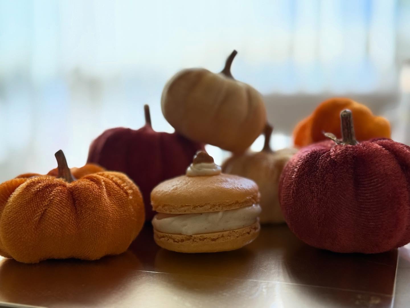 🍂 Fall Just Got Sweeter 🍂 Our Online Shop Officially Launches on October 15 At 6am.