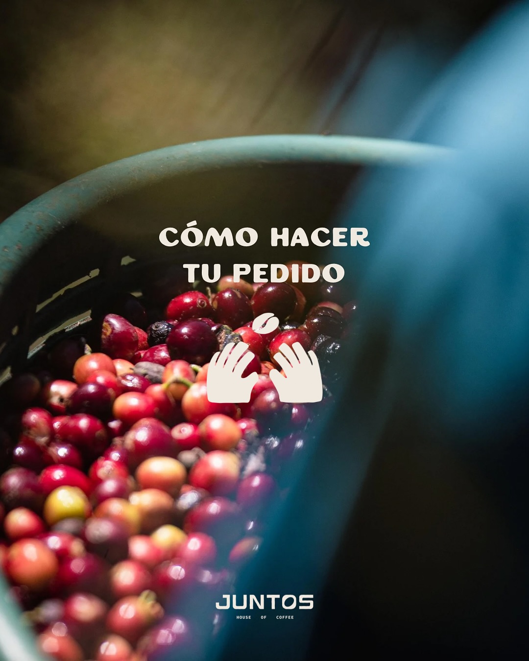 No te quedés sin probar los cafés de esta primera edición! Aquí te explicamos cómo hacer tu pedido.
Abrimos pedidos este viernes 17 de Octubre! Vamos a disfrutar de buen cafecito, JUNTOS 😉☕️