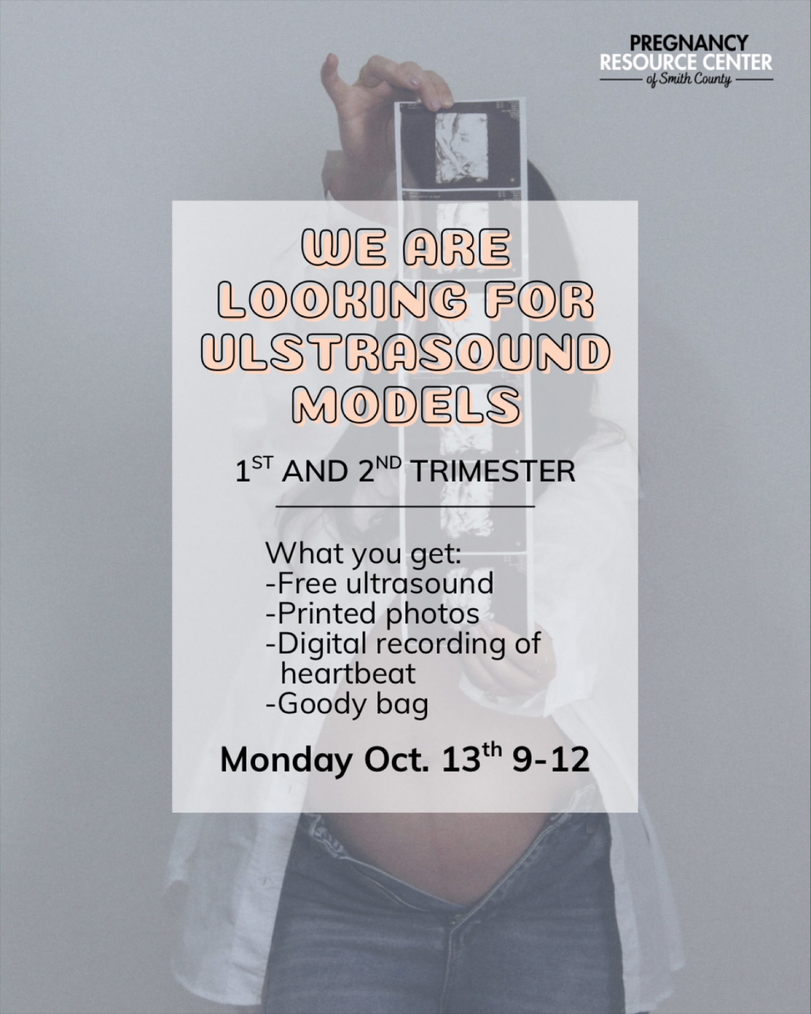 Are you in your 1st or 2nd trimester? We have a couple open spots for FREE ultrasounds on Monday Oct, 13th 9-12.
If you or someone you know might be interested give us a call at 615-281-8054