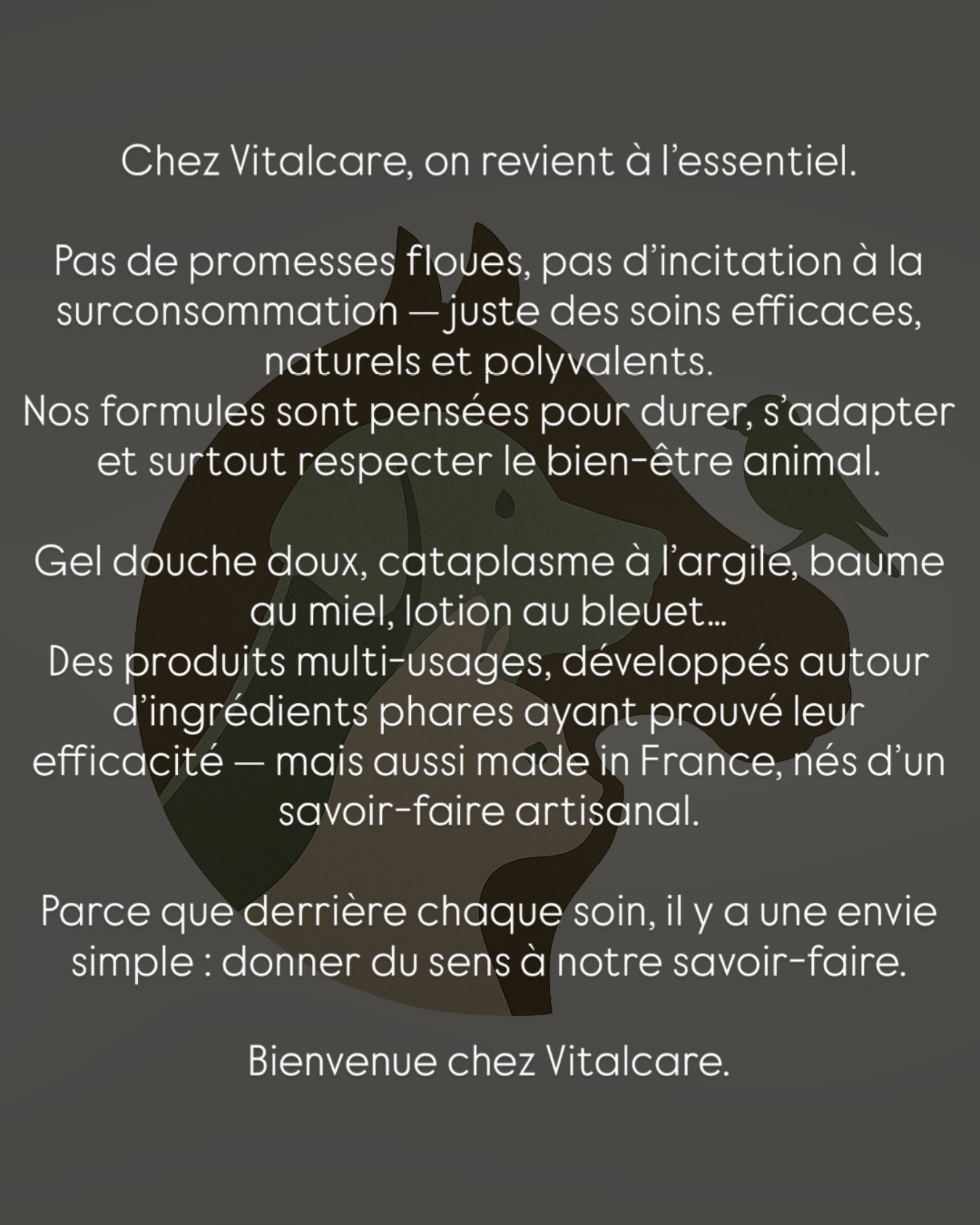 Le début d’une merveilleuse aventure avec vous 🐾