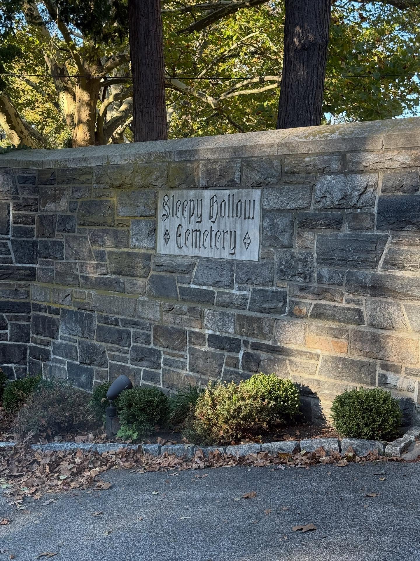 On our way back to Georgia, we made a stop in Sleepy Hollow. Chelsea didn’t just love books. She loved the thrill of a good scare, spooky stories, eerie movies, and anything with a touch of mystery. It felt right to share books here. It’s a place where imagination and folklore come alive.
We toured the Sleepy Hollow Cemetery, visited the Old Dutch Church, crossed the famous bridge, and paid a visit to Washington Irving’s gravesite.
We left behind a couple of Irving’s classics in her honor. May each label and book we leave carry a piece of mystery, magic, and the love of reading into the hands of someone ready for a good story.
#ChelseasBooksOrg #BookJourneyForChelsea #SleepyHollow #FallReads #InMemoryOfChelseaWilliamson
