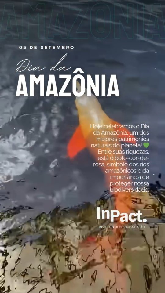 🌿🐬 Hoje celebramos o Dia da Amazônia (05/09), um dos maiores patrimônios naturais do planeta! 💚
Entre suas riquezas, está o boto-cor-de-rosa, símbolo dos rios amazônicos e da importância de proteger nossa biodiversidade.