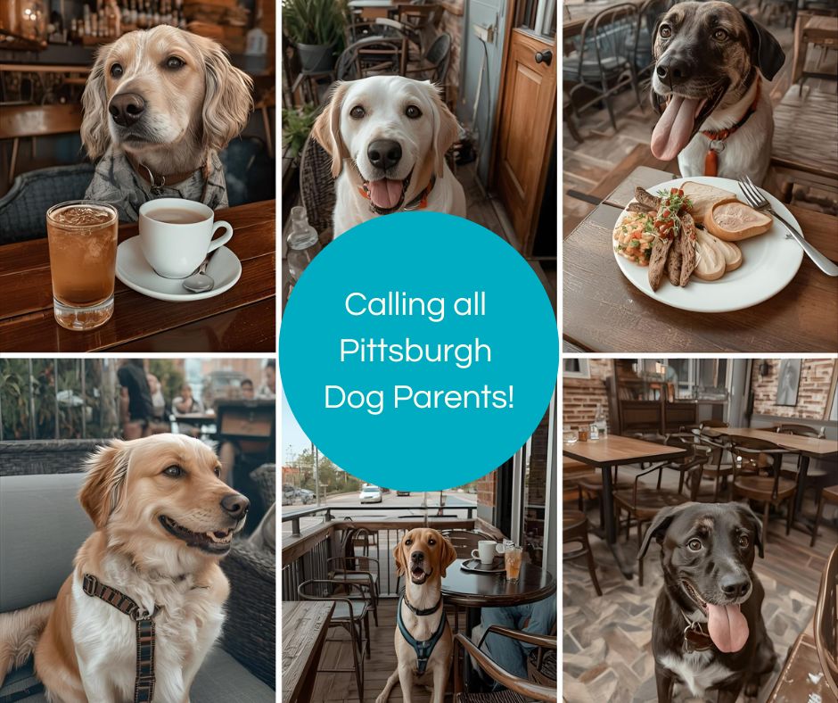 🐾 Calling all Pittsburgh pet parents!
I’m putting together a local guide to dog-friendly hangouts — from cozy cafés to sunny patios and buzzing beer gardens — and I need your help!
👉 Where do you and your pup love to grab a bite, sip a brew, or relax together?
Drop your favorite dog-friendly restaurants, coffee shops, or bars in the comments below — your picks might be featured in the blog! 🐶❤️
Let’s make Pittsburgh the ultimate dog-lover’s dining city!
(image generated by AI)
#PittsburghPets #DogFriendly #PetParents #PittsburghEats #DogLovers #CozyCafes #PetFriendlyOutings #PittsburghDogs #BrewWithPups #DoggyDining