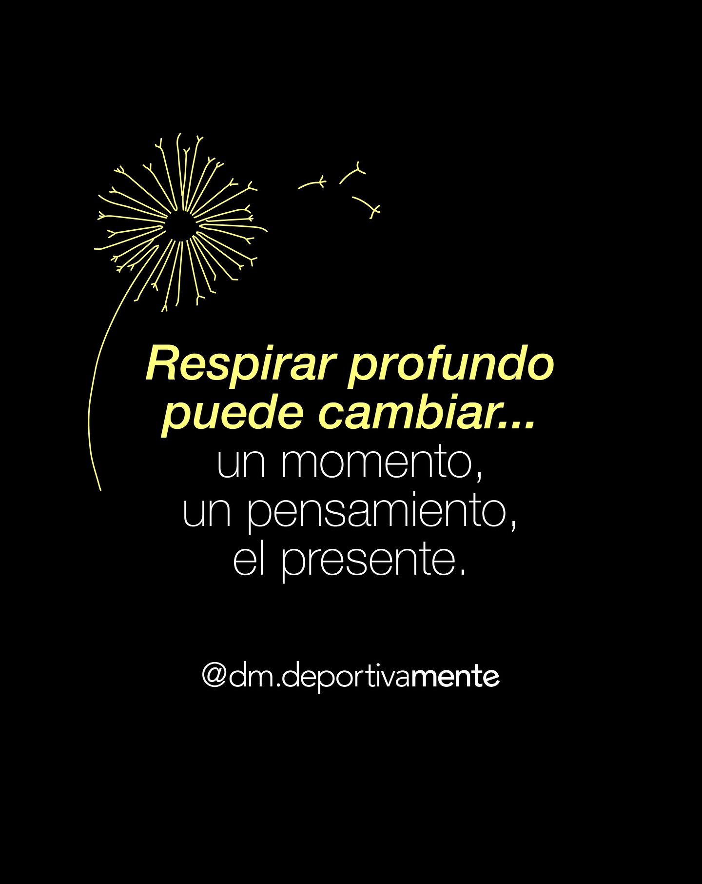 A veces, lo único que necesitamos es un respiro.
No para detener el ritmo, sino para volver a sentirlo.
Respirar profundo cambia la forma presente.
Nos recuerda que la vida no siempre exige más esfuerzo,
sino más presencia.
#frasedeldía #deportivamente #psicologiapositiva