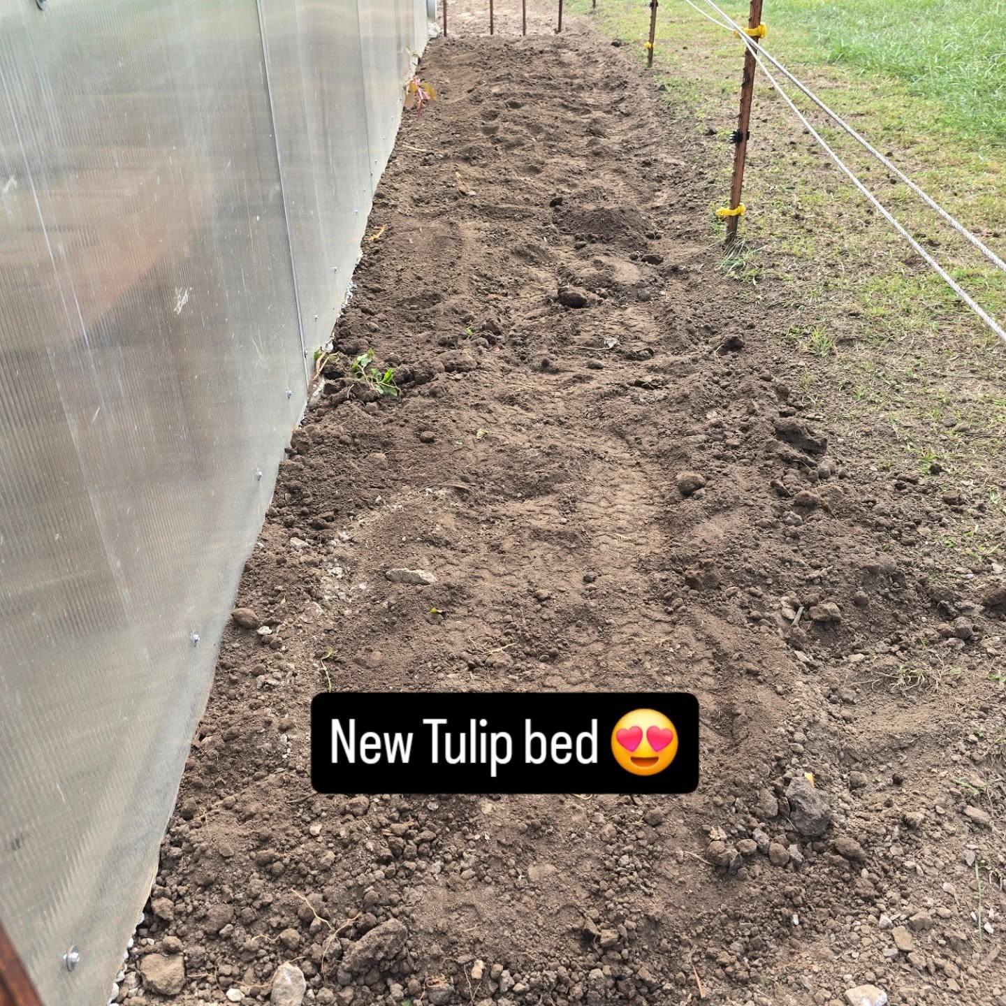 got this baby made up for next spring, over 100 bulbs went in today 😍