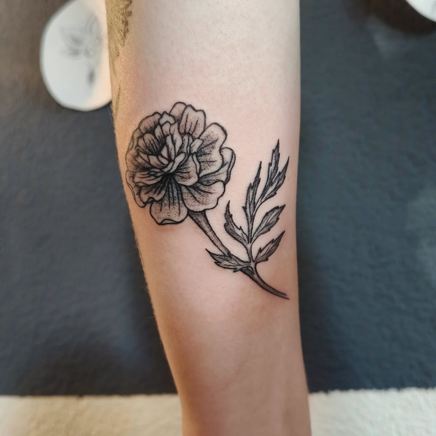 ✨ Calendula ✨
Heute durfte ich diese wunderschöne kleine Ringelblume als Symbol eines treuen Begleiters verewigen 🥰🙏🏼✨
Du bist nie allein und auch die heftigsten Stürme gehen irgendwann vorbei ✨💖✨
Danke für dein Vertrauen! ✨
✨ Encre d'Or ✨