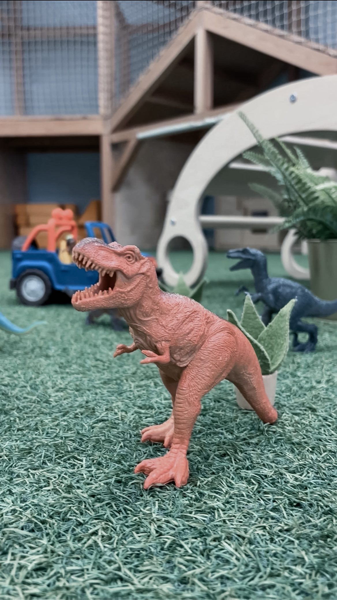 New Toy Alert 🚨
These dinos have been a fan favorite the past week! 🦕🦖