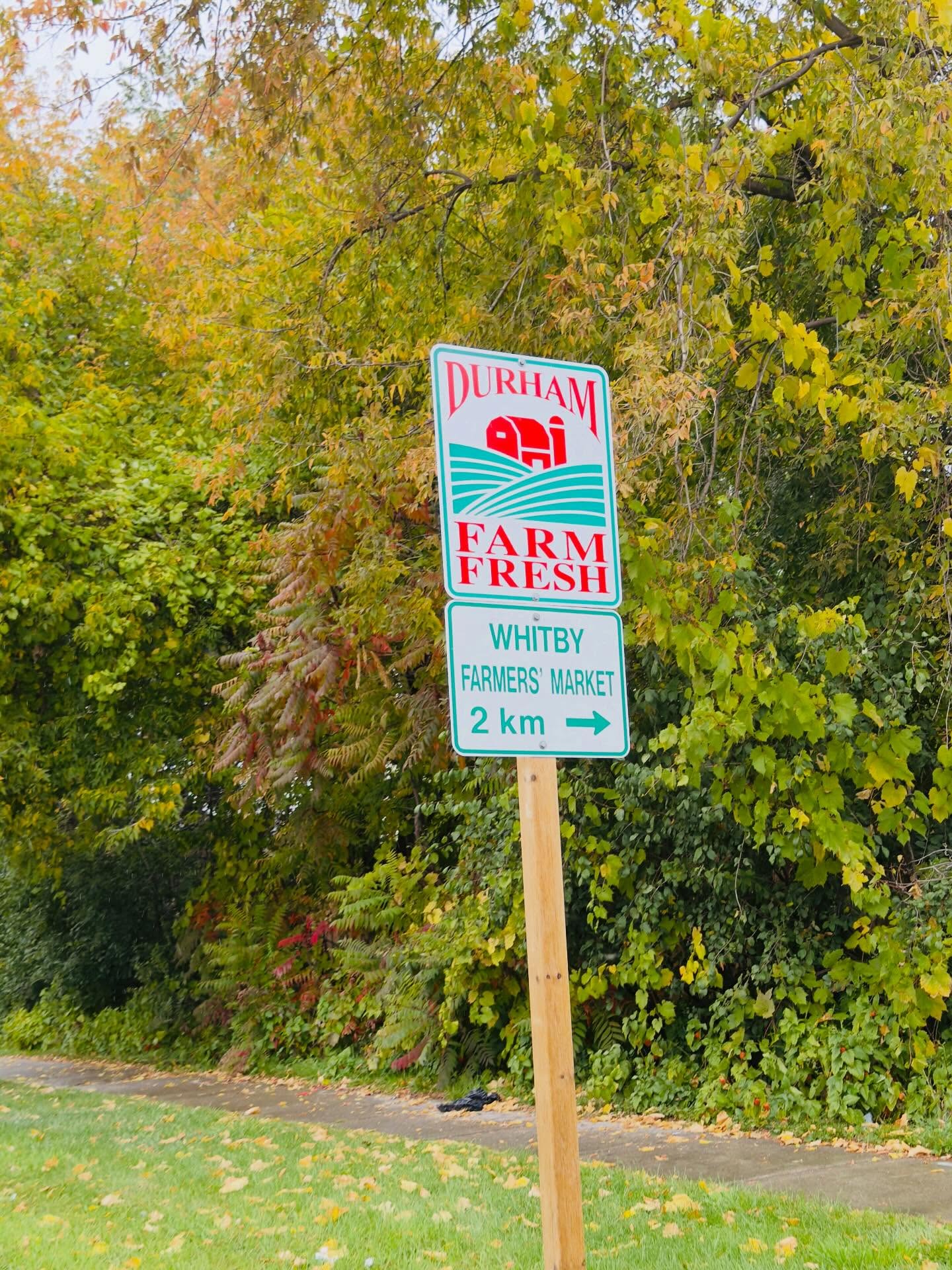 ⭐️Big news!! ⭐️
It’s been some years of trying to get a permanent sign for the Whitby Farmers’ Market and it has finally happened!!!
Our awesome market manager has worked hard to make this a reality and she is super excited to announce the day has arrived. The timing is not perfect but better late than never!
💚💚💚
Where is our new sign located?
Comment below when you find it!!
💚💚💚
