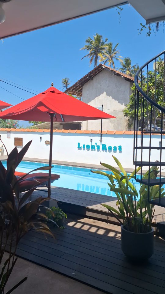 Everything you dream of in one place - Surf at sunrise. Stretch with the soud of waves. Taste your way through Sri Lankan spice & international favourites.
Lion's Rest isn't just a place - it's the way we live by the ocean. Come be a part of it🌴🌞