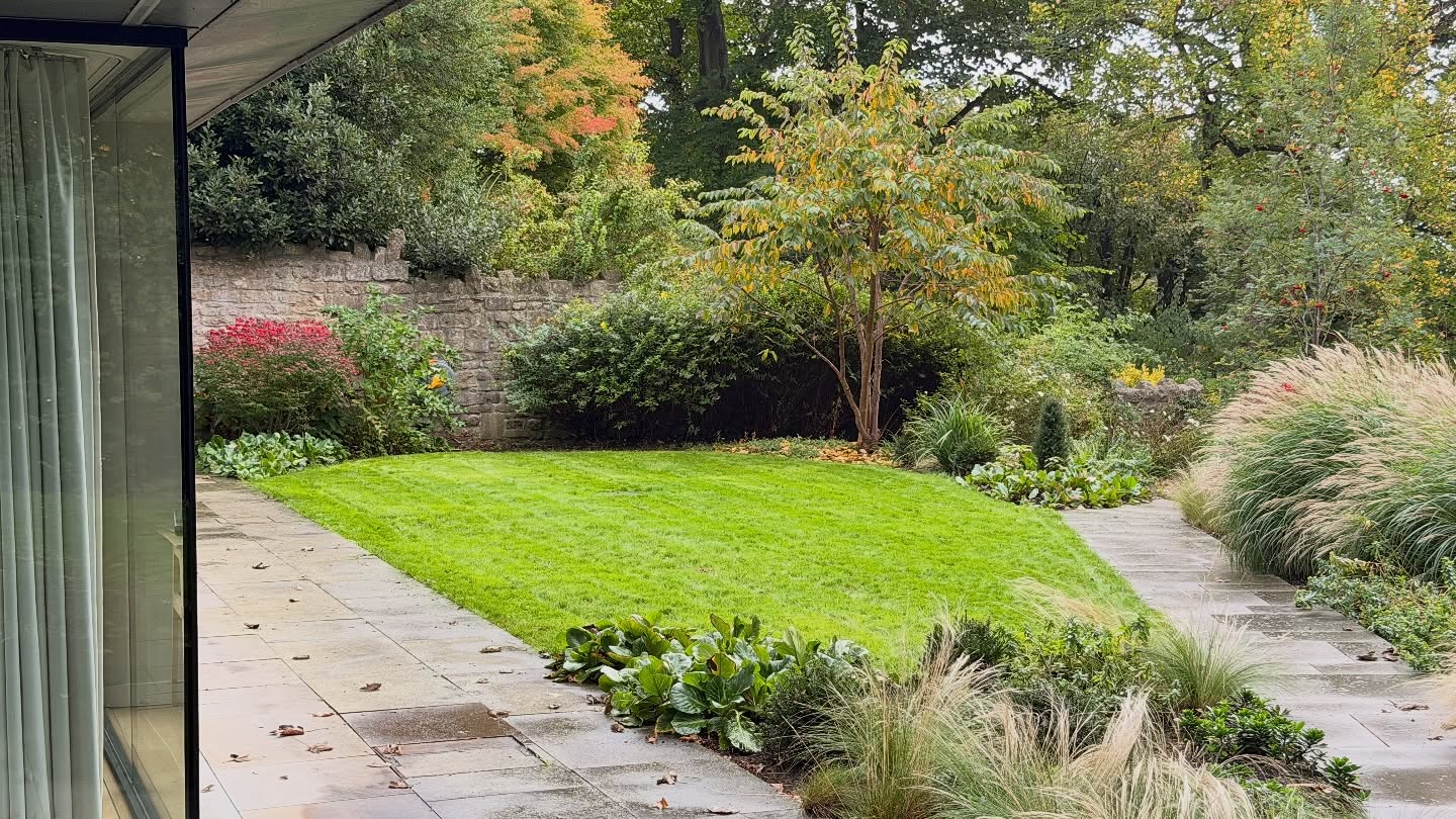 After & Before 📸
🌿 Lawn Glow-Up in Progress! 🌿
After that hot and dry summer we had, this lawn took a beating 😅 — dry, dead, and patchy (swipe left to see the before!).
Over the last few weeks, we’ve scarified, reseeded, and given it plenty of water and care 💧🌱. It’s already looking so much healthier, but there’s still more work to do!
Good lawns take time, patience, and the right TLC — and this one’s well on its way back to green glory 🙌💚
#LawnCare #BeforeAndAfter #LawnRestoration #GreenGrassGoals #GardenCare #Scarifying #SeedingSeason #LawnTransformation