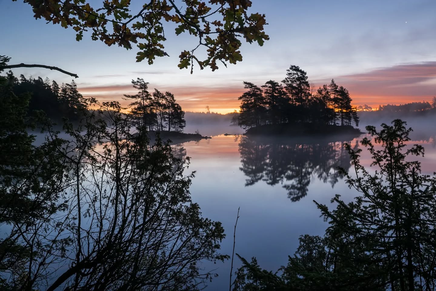 What a morning by the lake!
#innature
#innaturephotos
#morningatthelake
#morningglory
#morningcolors
#calmlake
#natureatitbest
