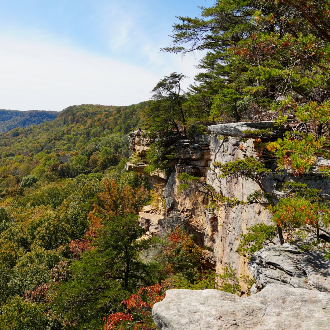 Savage Gulf State Park was showing off its fall colors this weekend 🍂
This is your reminder to slow down, bundle up, and make time to visit the parks while autumn is still putting on a show!