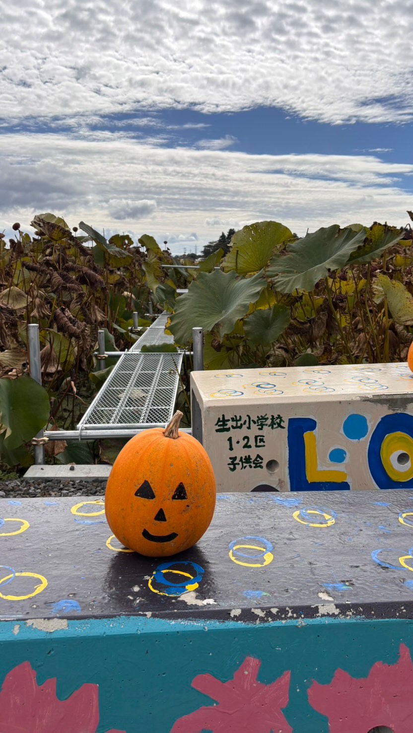 ひと雨ごとに寒くなってきました😷
蓮の花は咲き終わり残った花托で何か出来ないかなって考えてたらちょうどハロウィン🎃来るのでミャクミャクを作ってみました😊以外に似てるかも😆
レインボー蓮園にありますので見に来て評価してください😊#遺品整理弘光 #レインボーハス園 #蓮 #八幡平市 #ハウスクリーニング #生出 #盛岡市
