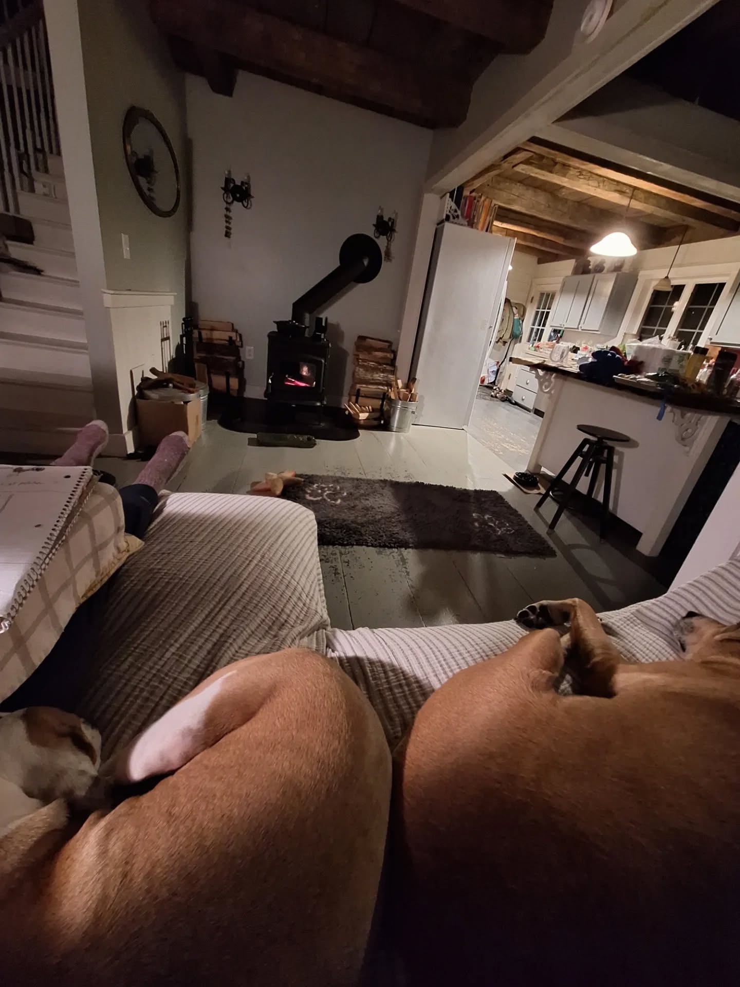 Chimney cleaned, wood in, and a washable bedspread for the new couch, just in time for tonight's freeze. Jasper & Hazel clearly approve of our cozy new fireside setup. 🐾 ❤️ 🔥