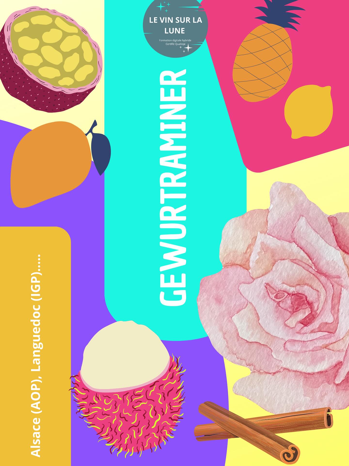 Vous connaissez les arômes principaux de ce cépage ? On le connaît notamment en Alsace où il est vinifié autant en sec qu’en moelleux ou avec encore plus de sucre sur les vendanges tardives !
#vin #alsace #gewurtztraminer #cépage