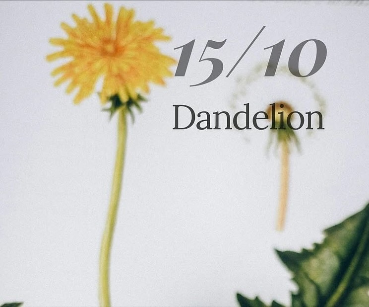 **Dandelion Herbalism Workshop – Last Few Spots! 🌿**
Join us for a special workshop focusing on Dandelion, blending shamanic tradition with modern herbal science. Experience the herb through your senses, discover its scientific story and the practical ways you can use it.
**Date & Time:**
**15/10/25 | 5:30-7:30 PM**
Don’t miss out—it has nearly sold out so limited places are available! For more details hit the link in the bio ❤️🌿