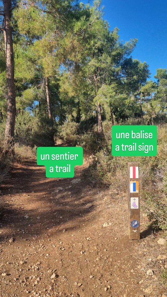 Promenade dans la nature en français