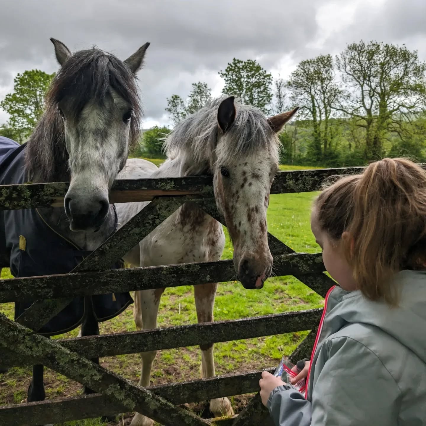 Nothing compares to the joy of family holidays and those little moments that turn into lifelong memories. ❤️ Grateful for the time spent with the ones who matter most. Here's to love, laughter, and memories you'll never forget 🏡✨
We still have one week available for Oct half term. Click link in bio to book x
#lowerwillsworthy #dartmoorholidays #dartmoorholidaycottage #escapetothecountry #escapetothecottage #vistdartmoor #visitdevon #love #holidaycottagesuk #dartmoor #FamilyFirst #HolidayVibes #MakingMemories #FamilyTime #TogetherIsBetter #GratefulHeart #TravelWithFamily #CherishedMoments #QualityTime
