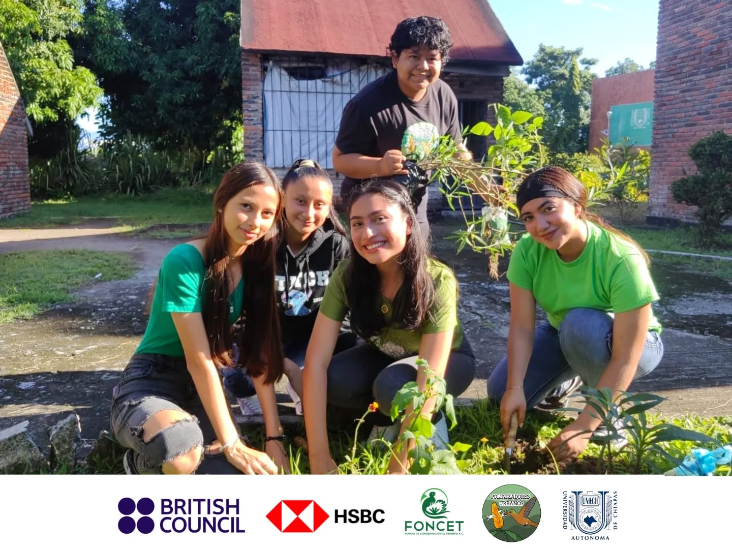 Hoy se llevo acabó la siembra de un #jardinpolinizador en la facultad de Humanidades C-IV UNACH en colaboración con Siresu - Extensión Istmo Costa y Soconusco.
Esto con el propósito de proveer refugió, alimento y un lugar de reproducción para nuestros polinizadores nativos como abejas, mariposas, murciélagos y colibríes 🦇
Agradecemos la participación de docentes, administrativos y sobre todo los estudiantes que hoy dieron su tiempo y esfuerzo para crear una facultad mas amigable con nuestra biodiversidad 🦜🐝
Todo esto no sería posible sin el apoyo y financiamiento del British Council, HSBC y el Fondo de Conservación El Triunfo A.C. @foncet_a.c
#polinizadores #educacionambiental #biodiversidad