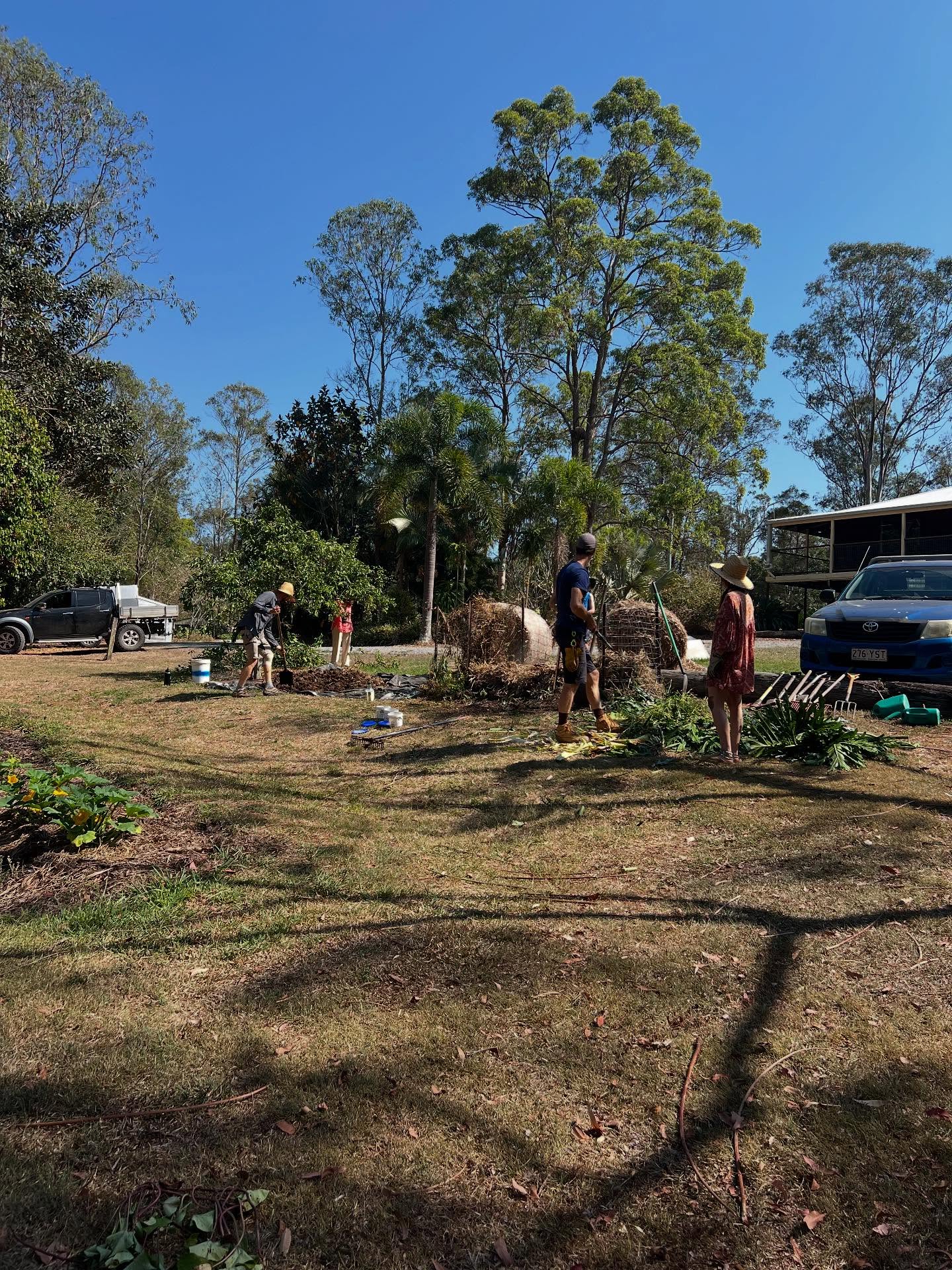 On the weekend, we volunteered to reinvigorate the biodynamic gardens at the local Steiner school. We built compost for next years harvest, weeded, applied soil activator and shared food in community connection. In consulting the I Ching, Hexagram 11, Tai. Advance, speaks to me. In this gua, Qian (Heaven) descends to the lower gua, and Kun(Earth) ascends to the upper gua. Heaven stands above and moves down and Earth stands below and moves up. To me, this is the perfect example of how a garden is a magical interface of the two. 🌻