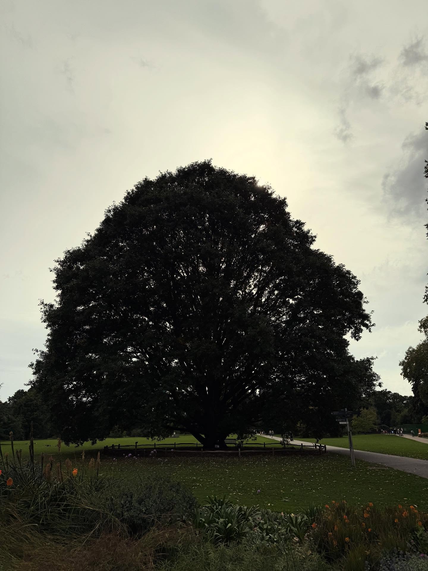 Spending time this week on my RIBA Conservation course has been a reminder that architecture is never just about the building — it’s about its setting.
The way a place sits in its landscape, the light, the trees, the quiet story of its surroundings — all shape how we experience it.
#architecturewithsoul #heritagearchitecture #riba #conservationarchitect #landscapeandsetting #listedbuilding #cotswolds #kimberleyarchitecture