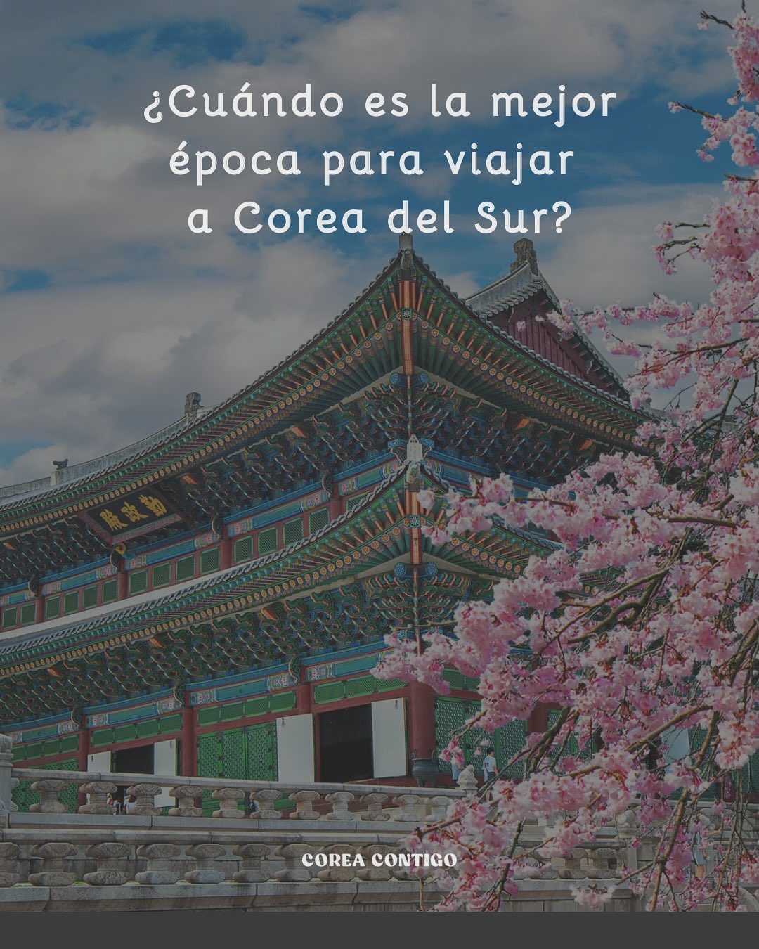 🇰🇷 ¿Cuándo es la mejor época para viajar a Corea del Sur?
Corea tiene cuatro estaciones bien definidas, y cada una ofrece experiencias distintas 🌸☀️🍁❄️.
Aunque primavera (marzo–mayo) y otoño (septiembre–noviembre) son las más recomendadas, ¡todas tienen su encanto!
🌸 Primavera (marzo–mayo)
🌡️ 5 °C en marzo (aún frío) → 20 °C en mayo
👗 Abrigo ligero o chaqueta en marzo, suéter en abril y ropa fresca en mayo.
🌸 Ventajas: Los cerezos florecen y los paisajes se llenan de color, ideal para visitar palacios y templos.
⚠️ Desventajas: Marzo aún se siente como invierno y los lugares turísticos pueden llenarse. Además, en Semana Santa los vuelos desde América Latina o España suelen ser más caros.
☀️ Verano (junio–agosto)
🌡️ 25–35 °C, con humedad alta
👗 Ropa ligera, sandalias y paraguas por las lluvias monzónicas (julio).
🏖️ Ventajas: Perfecto para playas como Busan o Jeju, festivales y vida nocturna.
⚠️ Desventajas: Mucho calor y lluvias intensas.
🍁 Otoño (septiembre–noviembre)
🌡️ 10–23 °C, clima fresco y agradable
👗 Chaquetas y suéteres ligeros.
🍂 Ventajas: Paisajes otoñales espectaculares y la fiesta de Chuseok.
⚠️ Desventajas: Durante Chuseok hay gran movimiento interno y escasean boletos de tren o bus. Además, es temporada alta, con más turistas y precios algo más altos en alojamiento y tours.
❄️ Invierno (diciembre–febrero)
🌡️ –5 °C a 5 °C, puede bajar a –10 °C en el norte
👗 Abrigo grueso, bufanda, guantes y botas.
⛄ Ventajas: Nieve, estaciones de esquí como Pyeongchang y mercados navideños.
⚠️ Desventajas: Frío intenso, días cortos y mucho tráfico durante el Año Nuevo Lunar (Seollal). En Navidad y fin de año, los alojamientos también suben de precio.
💡 Conclusión:
👉 Primavera y otoño: clima templado y colorido.
👉 Verano: energía y festivales.
👉 Invierno: nieve y encanto invernal.
✨ Corea siempre tiene algo especial que ofrecer.
📸 Fotos: 한국관광공사
#corea #coreadelsur #coreacontigo #coreacontigotour #viajeacorea #turismoencorea #tourenespañol #tourencorea #mejorepocaaviajar #estacionesdecorea #tuguíaencorea #conozcamosjuntosacorea #한국여행