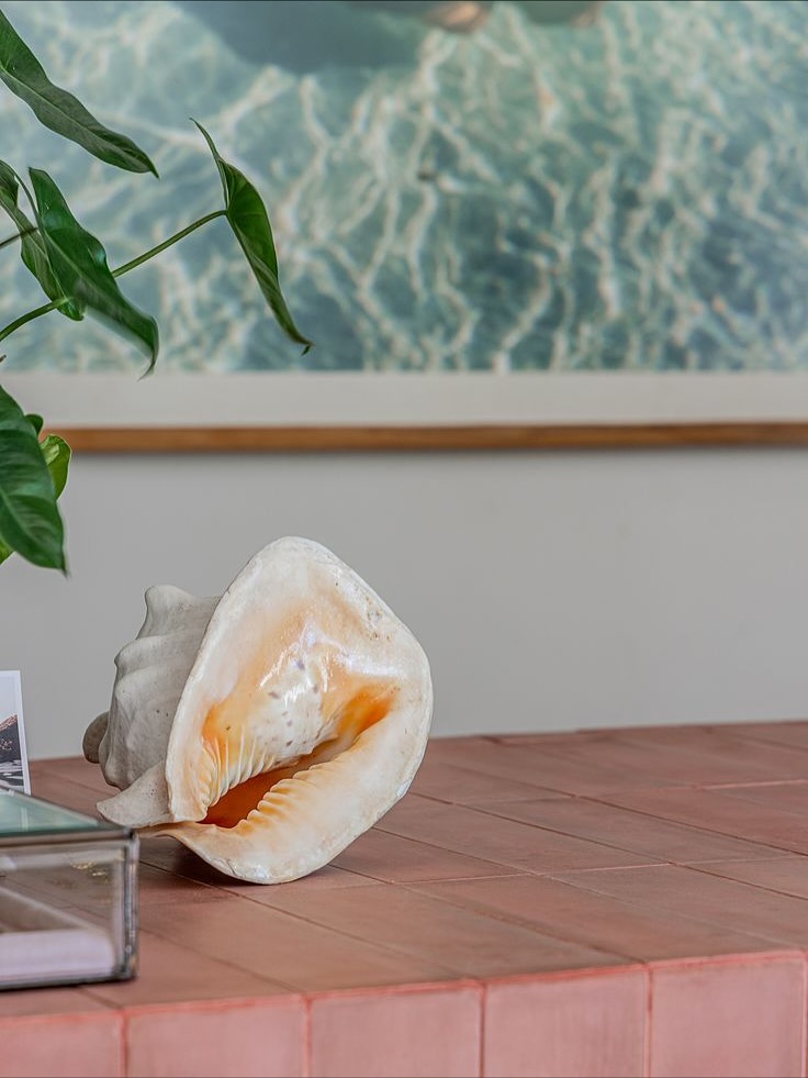 COVE ISLAND ESSENTIALS: A Haven for Island Living
〰️ Homes to Our Products - Bali Edition 〰️
#1 @cove.islandessentials
COVE Island Essentials is built on a foundation of values that resonate deeply with us. Their passion for quality, sustainability, and timeless style is reflected in every carefully curated product, from fashion to homewares. Their dedication to handcrafted treasures and unique collectibles speaks to a deeper commitment to supporting artisans and preserving traditional craftsmanship.
What sets COVE Island Essentials apart is their unwavering commitment to quality and elegance. Every product in their store is carefully selected for its beauty, functionality, and attention to detail. Their team is passionate about creating a shopping experience that’s not just about buying products, but about connecting with like-minded individuals who share a love for island living and mindful values.
Find Bymnē at COVE Island Essentials
🌿 Berawa: Jl. Pantai Berawa No.50, Canggu (opposite Milk & Madu)
🌿 Bingin: Shop 6, Modjo Villas & Shops, Jl. Pantai Bingin, Pecatu
🌿 Seminyak: W Hotel, Petitenget
🌿 Seseh: Shop No.1, Jl. Pantai Seseh, Seseh, Cemagi
#baliconceptstore #baligiftshop #baliproducts #balishops #baligift #balimade #baliartisans #balicraftsmanship #coveislandessentials